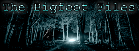 bigfootfiles.png